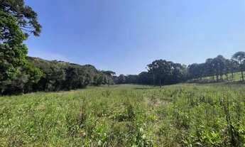 Imagem 2: Imóvel para venda com 49.743metros quadrados em Campo Novo - Campo Magro - PR