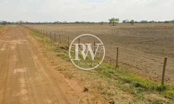 Imagem 3: Fazenda à Venda em Goiás 201 Alqueires, Cana-de-Açúcar, Topografia Plana etc