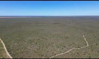 Imagem 2: FAZENDA À VENDA - SÃO FÉLIX DO CORIBE / BA
