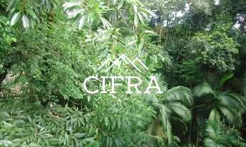 Imagem 3: Prédio Comercial e Residencial - Venda - 834m² - Investimento - Rua XV de Novembro - Alber