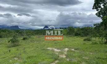 Imagem: Fazenda 40 alqueires (193,6 hectares) Mineiros