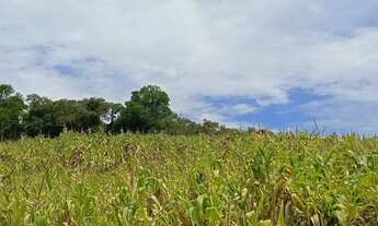 Imagem 5: Terrenos para seu chales - Ibiúna - SP