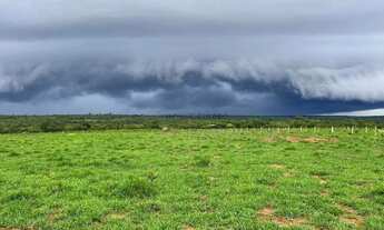 Imagem: Fazenda de 150 hectares toda escriturada