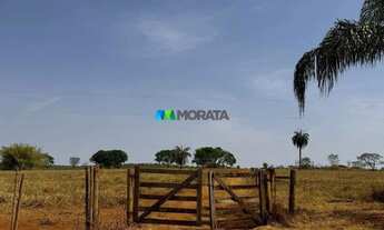 Imagem 5: FAZENDA À VENDA - 827 HECTARES - ABAETÉ (MG