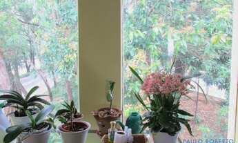 Imagem 3: CASA ASSOBRADADA - PLANALTO PAULISTA - SP