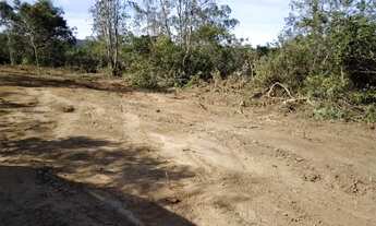 Imagem 2: Área de 2.500 metros documentada em Esmeraldas