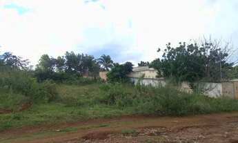 Imagem: Chácara 1000m quadrados morada nova com