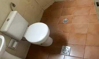 Imagem 3: Aluguel apartamento sagrada familia