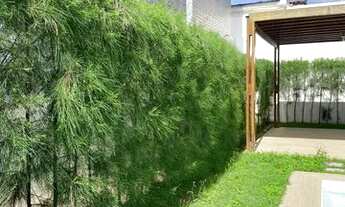 Imagem 5: Alugo apartamento novo no Anatólia/Bancários