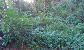 Imagem 5: Vendo casa 02 andares com terreno de 2.500 metros quadrados