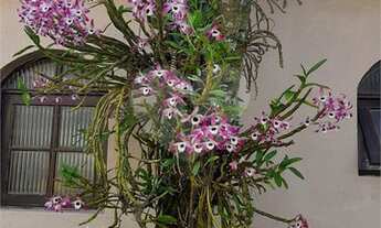 Imagem 3: Mogi das Cruzes - Casa Padrão - Vila São Paulo