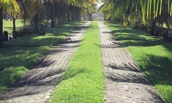 Imagem 6: Camacari - Terreno Padrão - Busca Vida