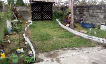 Imagem 7: Chácara com árvores frutíferas, apenas 135mil