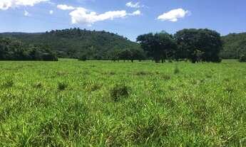 Imagem 3: Fazenda 315 há dupla aptidão agrovila das palmeiras - MT