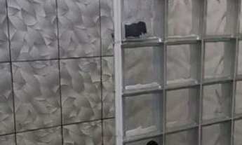 Imagem 3: Vende-se apartamento