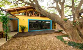 Imagem 3: Imóvel comercial para venda possui 800 metros quadrados em Vila Pompéia - São Paulo - SP