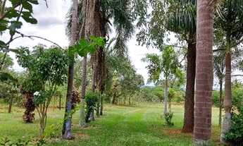Imagem 5: Vendo chacara na Vargem Bonita, Senador Canedo