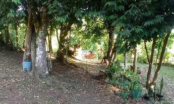 Imagem 2: Chácara com casa bastante sombra