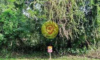 Imagem 2: Terreno para Venda em São Sebastião, Boracéia
