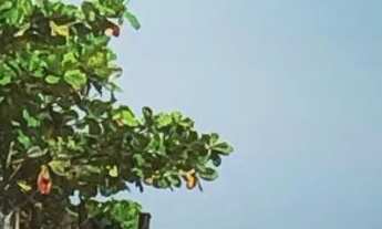 Imagem 2: Casa temporada Bertioga 2 quadras da praia / Próximo ao Sesc / Venda ou locação