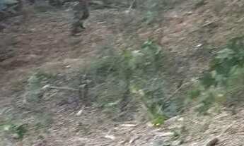 Imagem 2: Terreno 220metros quadrados estrada vilage monte Líbano próximo ao azilo