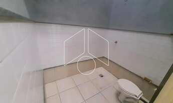 Imagem 5: Comercial GalpãoBarracão em Marília