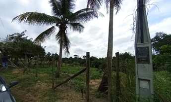 Imagem 3: SÍTIO ESCRITURADO ENTRE XURI E CÓRREGO SETE - 1.000 m