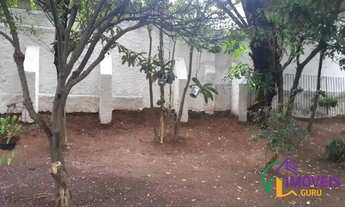 Imagem 4: AREA - PERDIZES - SP