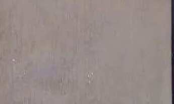 Imagem 3: Terreno à venda Campestre - Santo André - SP