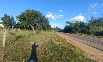 Imagem 4: Chácara Comercial/Residencial à Venda, 32.000 m², à 6 Km de Pires do Rio-GO