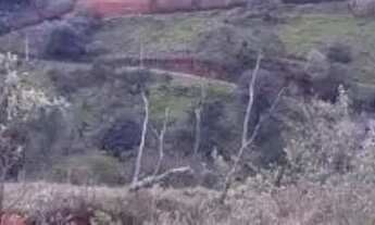 Imagem 5: TERRENO - PARQUE CAETÊ - SP