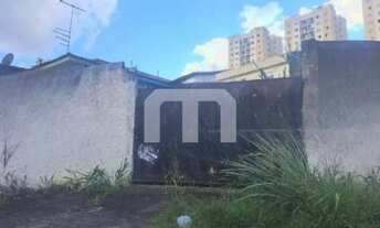 Imagem 3: Terreno de 291m² na Vila Mafra: Oportunidade de Venda ou Locação em São Paulo-SP