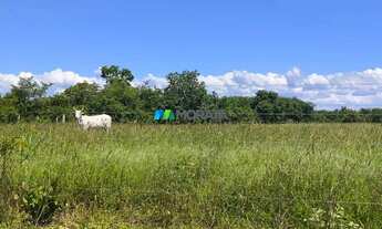 Imagem 5: FAZENDA À VENDA - 664 HECTARES - JANUÁRIA (MG