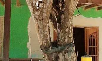 Imagem 6: Casa em Vila Canaã