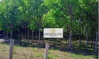 Imagem: Excelente oportunidade! Fazenda à venda