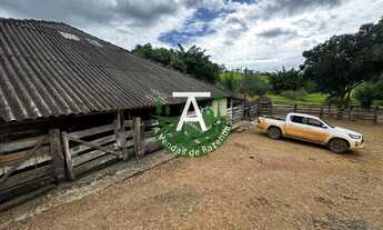 Imagem 5: Fazenda de 192 alq em Ipameri-GO