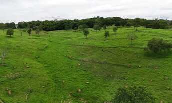 Imagem 7: Fazenda a venda, em Morrinhos - Goiás!!!