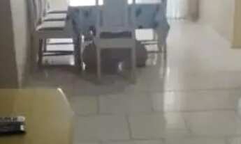 Imagem 6: Apartamento para Temporada em Balneário Camboriú, CENTRO, 2 dormitórios, 1 banheiro, 1 vag