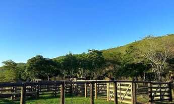 Imagem 6: Fazenda pra Gado 55 Alqueires - Região Lua Nova em Faina - GO