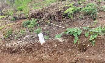 Imagem 7: Imóvel para venda tem 600 metros quadrados em Terra Preta (Terra Preta) - Mairiporã - SP