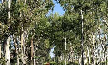 Imagem 2: Área rural em Chapada dos Guimareas à venda