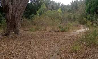Imagem 2: VENDO AREA MARACANÃ