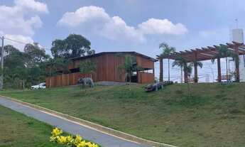 Imagem 7: Chácaras da Fazenda 2 Lotes Transferências Km 12