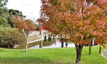 Imagem 4: Lote em Rua do Sossego - Vila Dante - Canela/RS