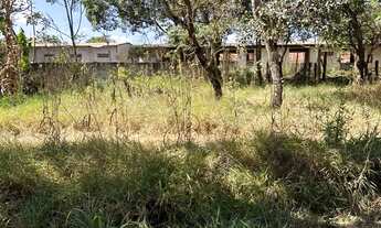 Imagem 6: Lote! Capoeira do bálsamo! Água de coco! Lago norte!