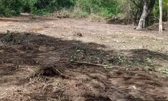 Imagem 4: Area 3.000 m2 no rio turvo 160.000