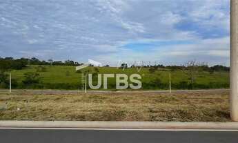 Imagem 8: Lote Vinhas Flamboyant