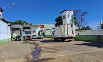 Imagem 7: Rua Walter Pereira | Maria Lúcia | Londrina