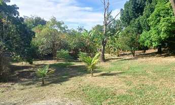 Imagem 6: Chácara Chácara com venda por R$295.000