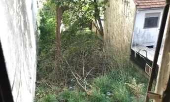 Imagem 6: AREA - PERDIZES - SP